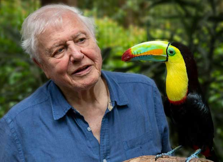 Screenshot 2025-12-15 204454